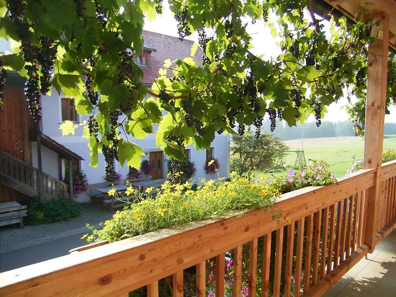 Farm stay Hanauerhof Villa Schonsee